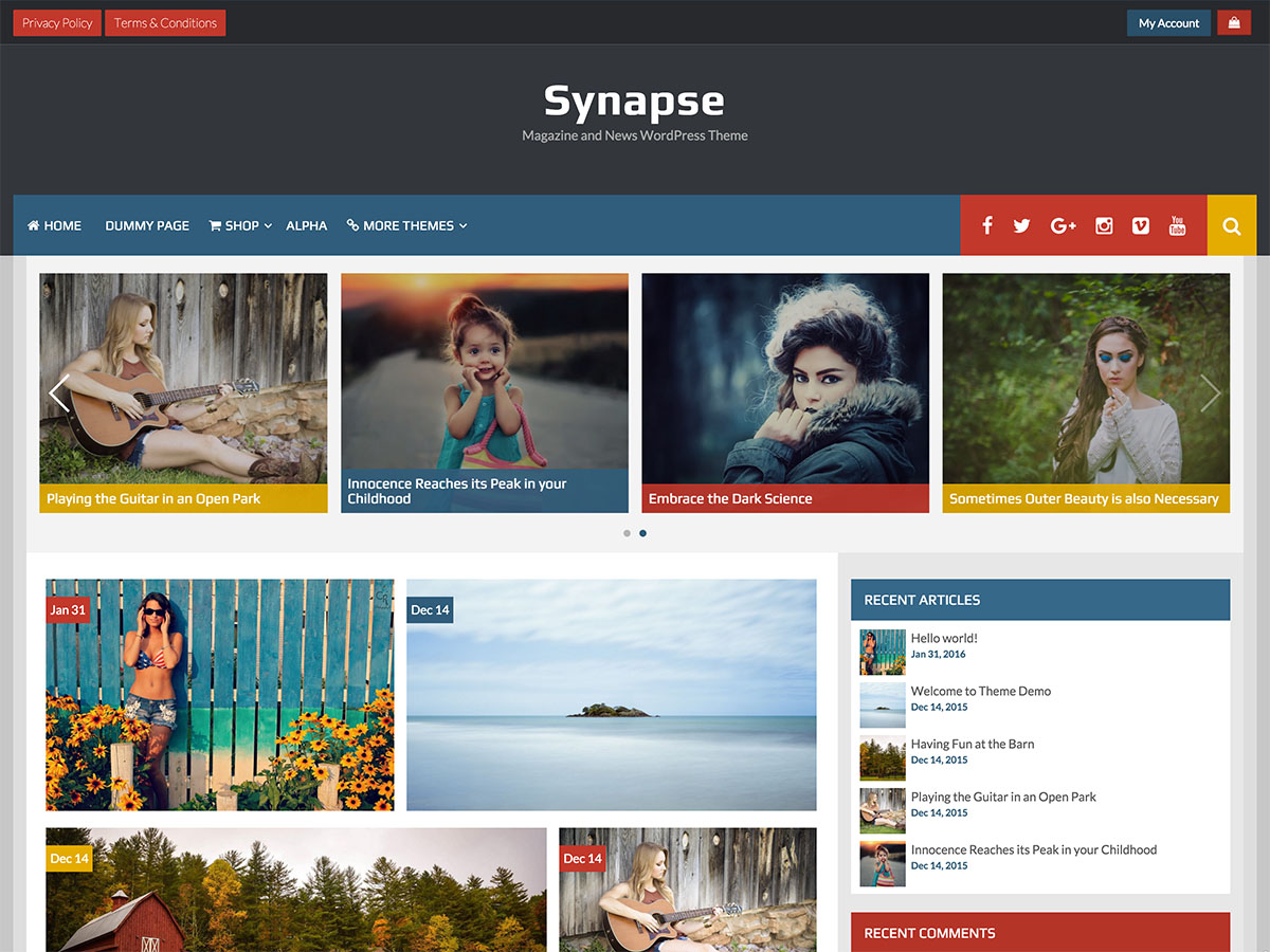 Synapse theme screenshot