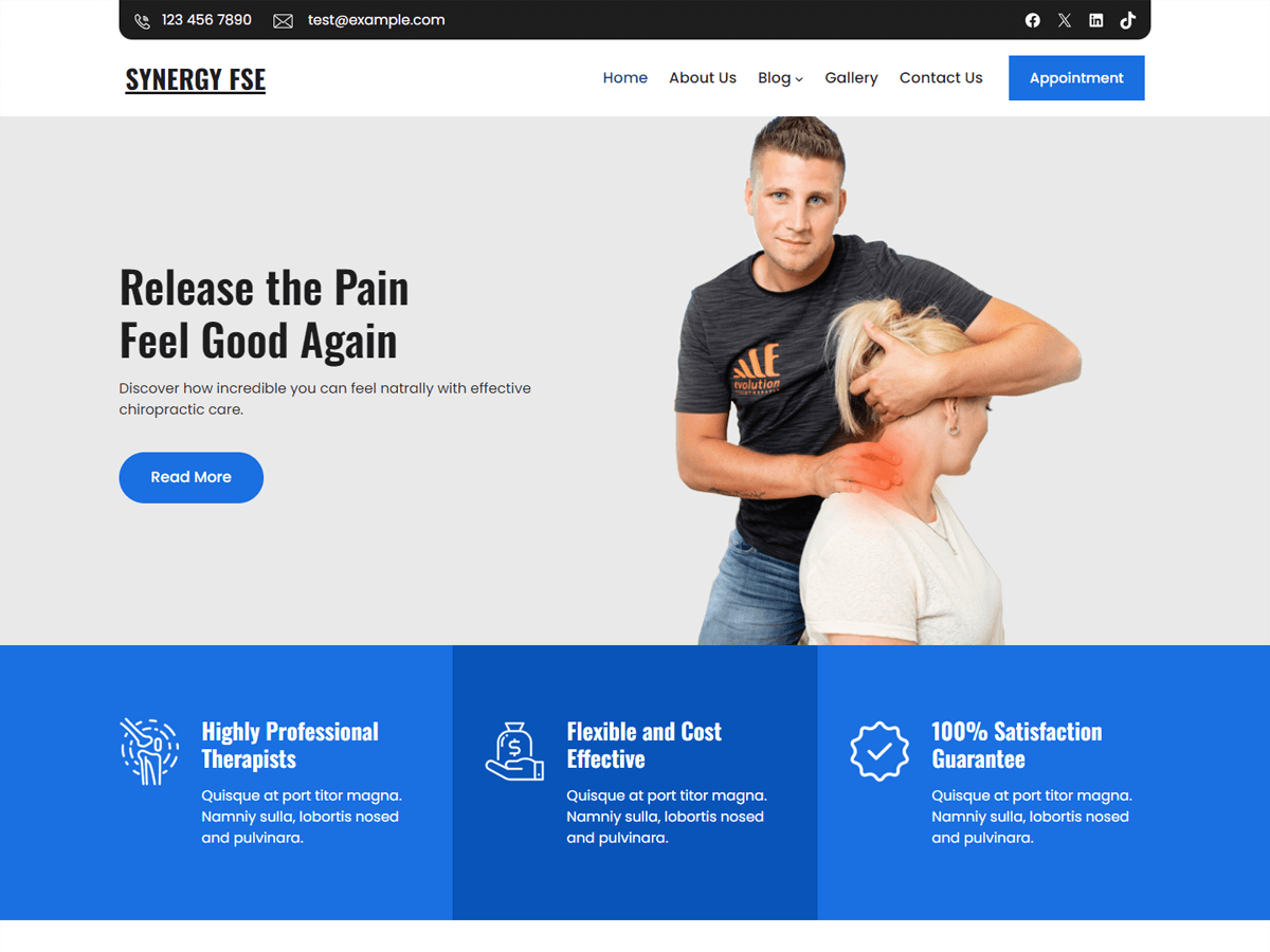 Synergy FSE theme screenshot