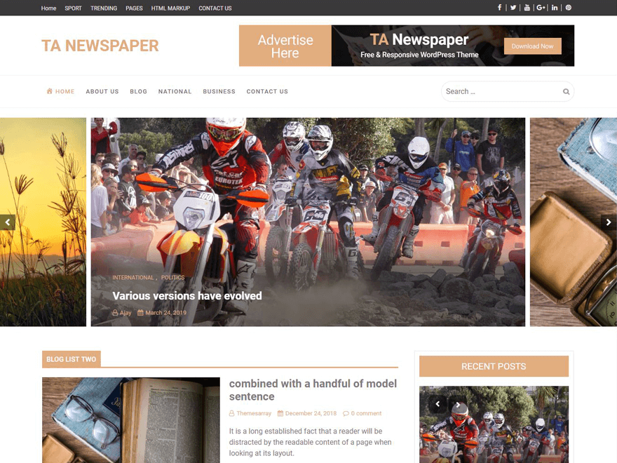 TA Newspaper theme screenshot