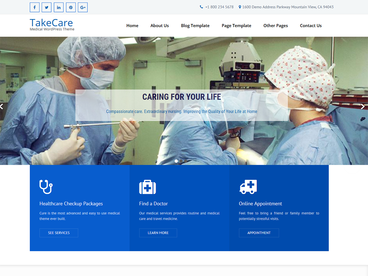TakeCare theme screenshot