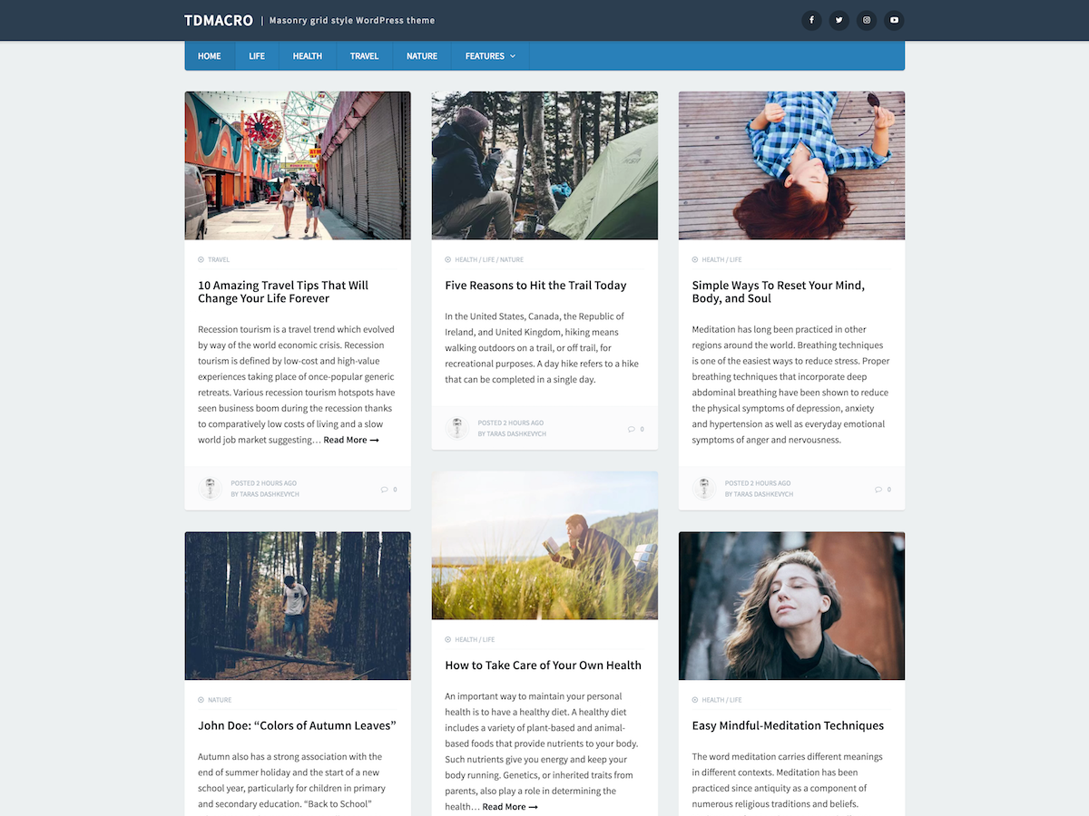 tdMacro theme screenshot