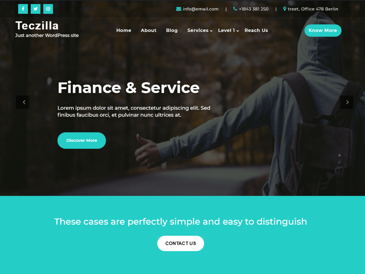 Teczilla Finance theme screenshot