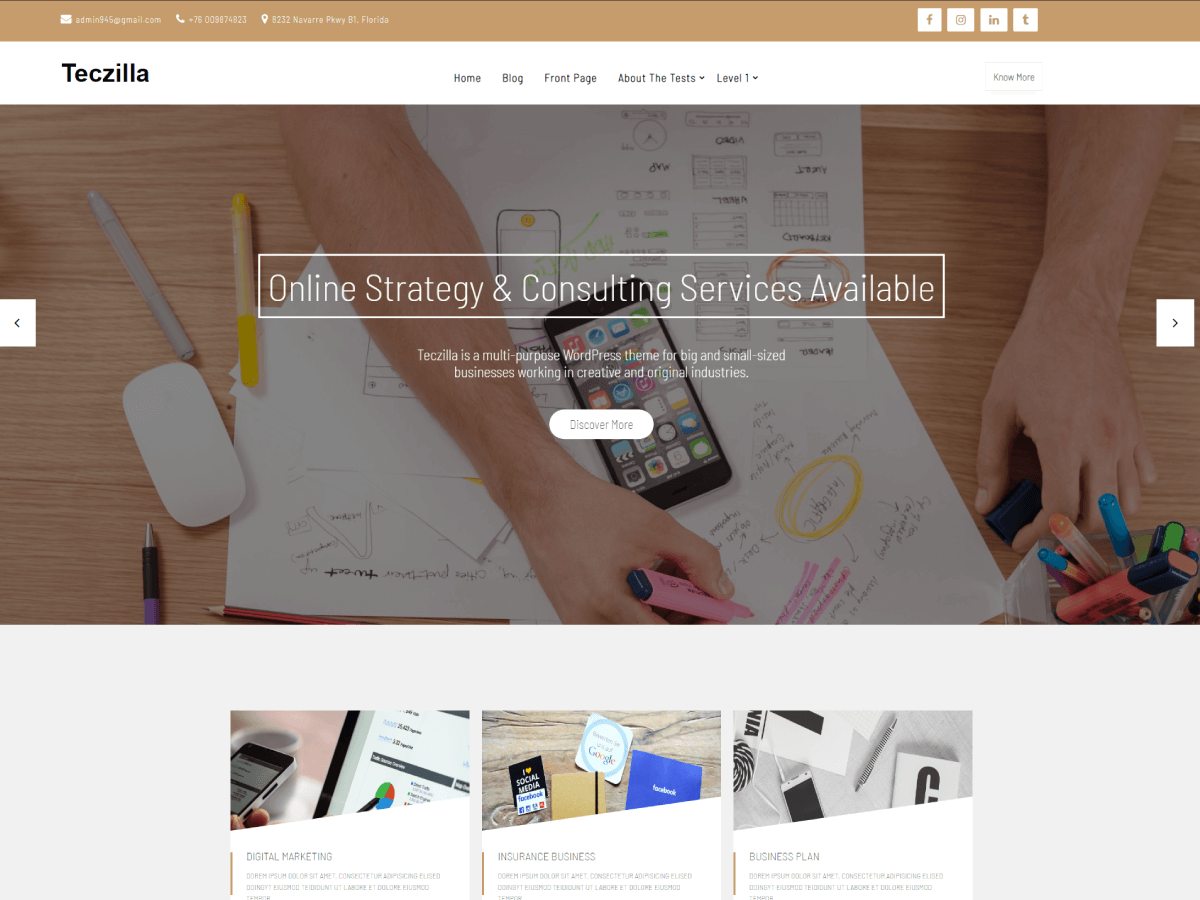Teczilla Marketing theme screenshot