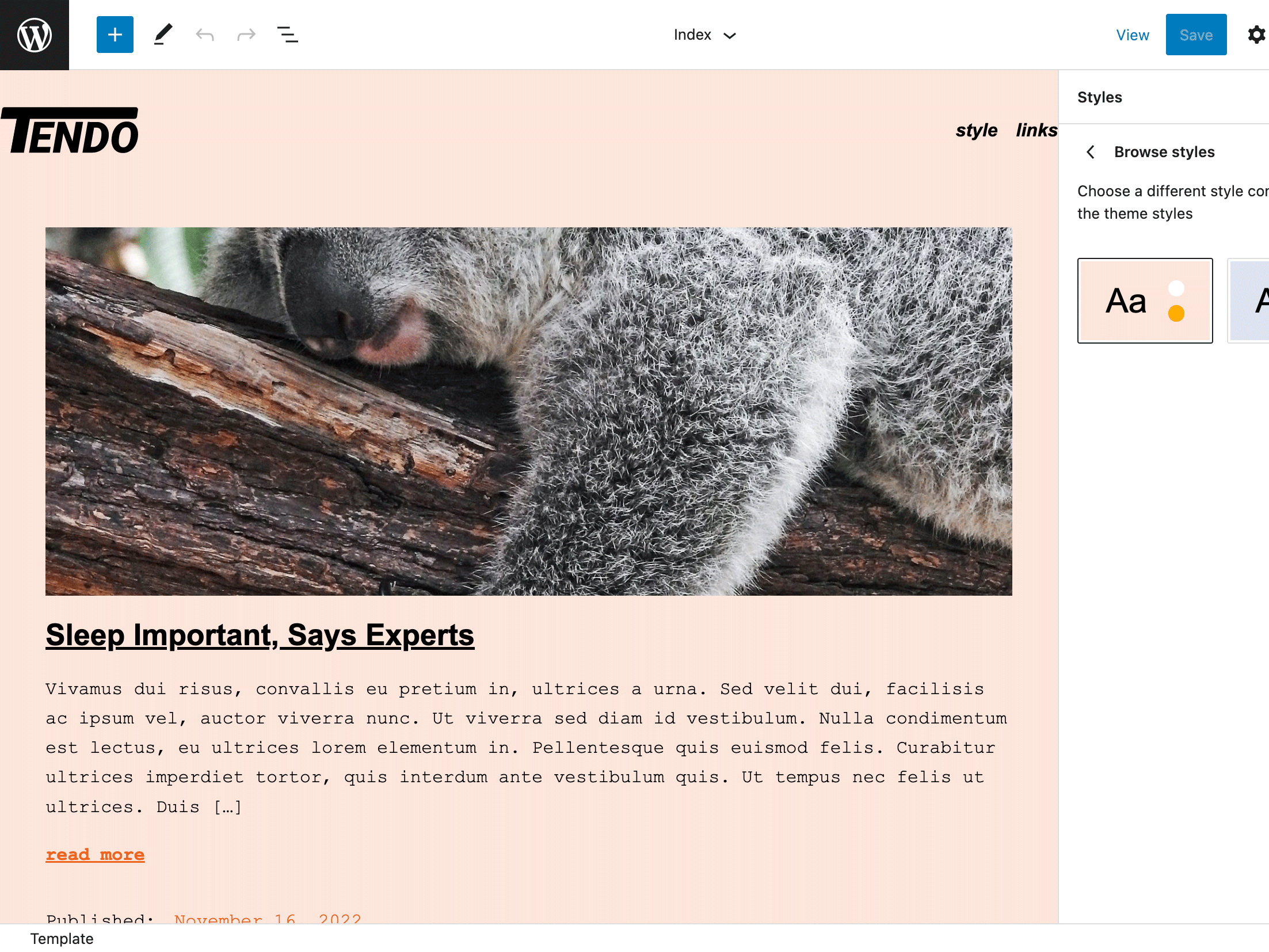 Tendo theme screenshot