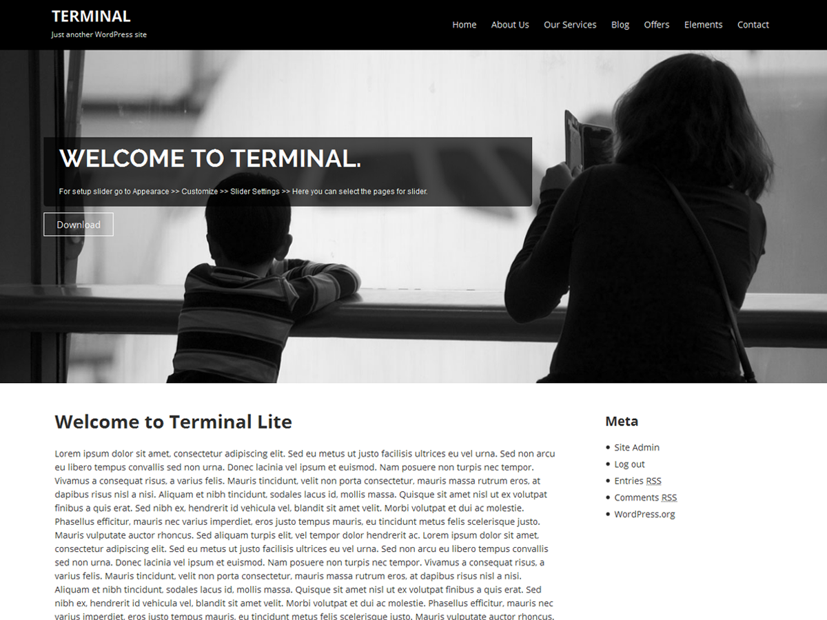 Terminal Lite theme screenshot
