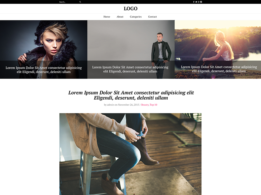 The Fash Blog theme screenshot