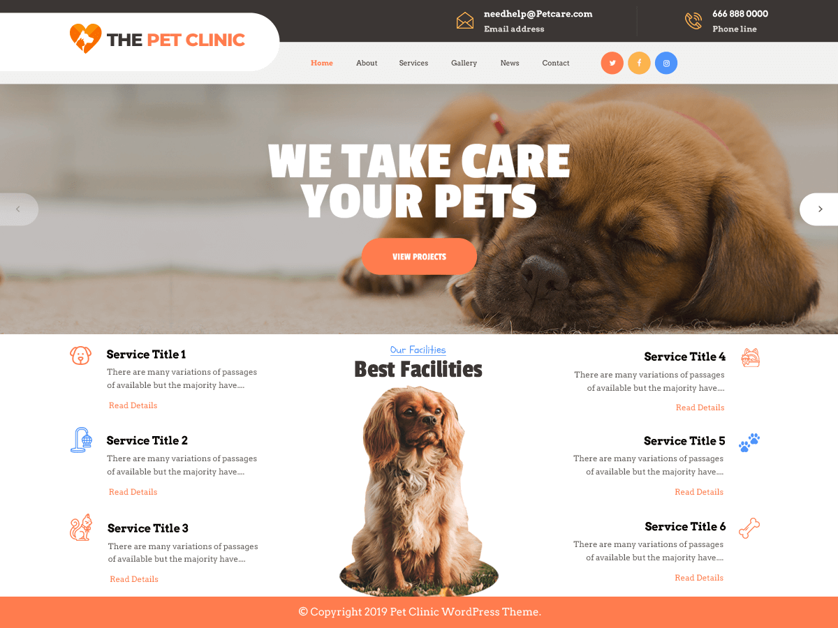 The Pet Clinic theme screenshot
