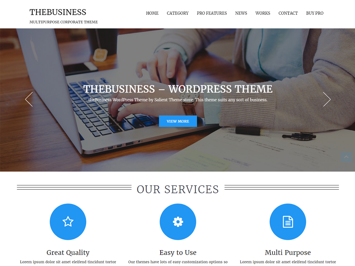 theBusiness theme screenshot