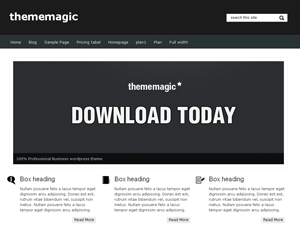 thememagic theme screenshot