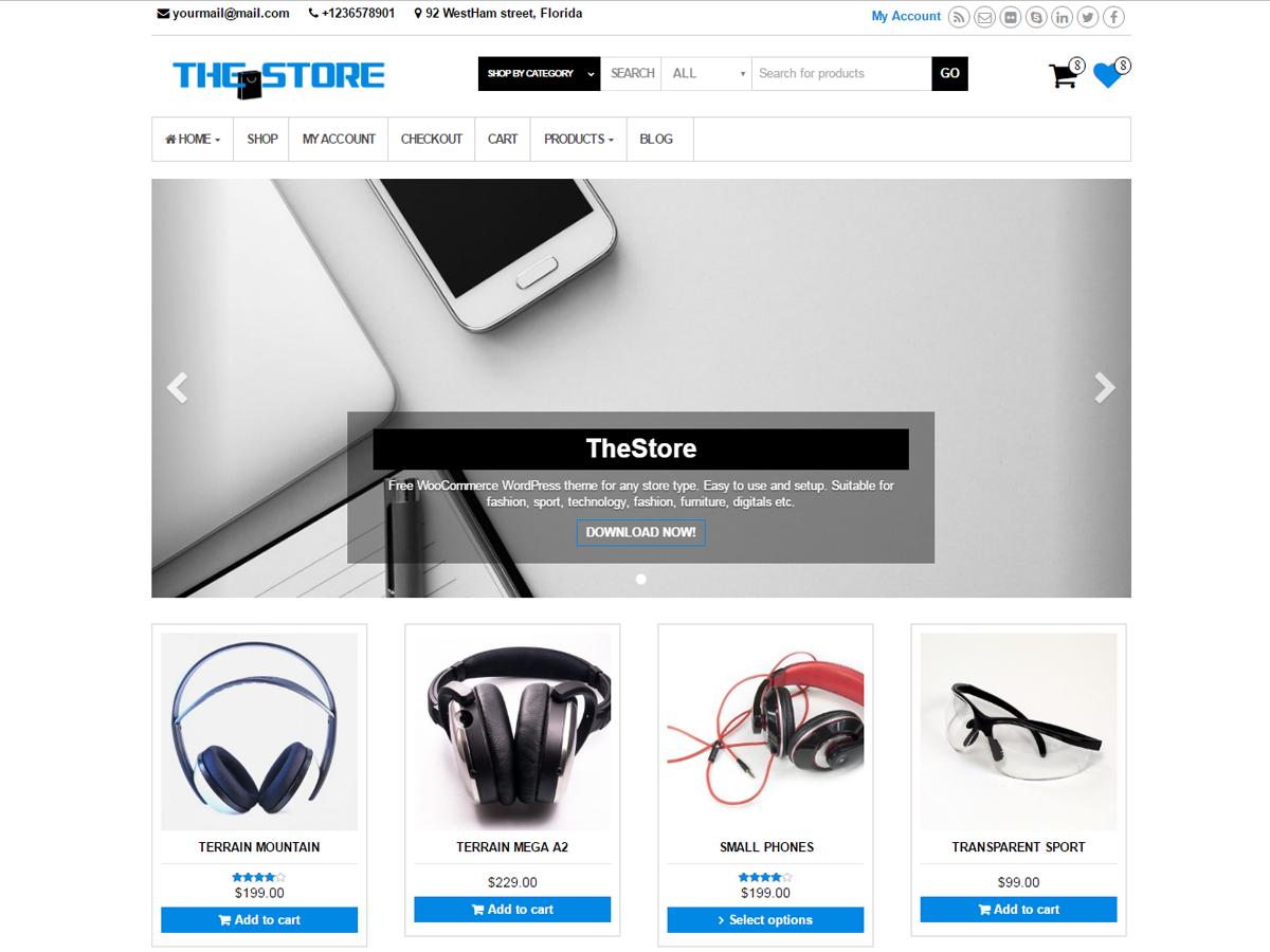 TheStore theme screenshot