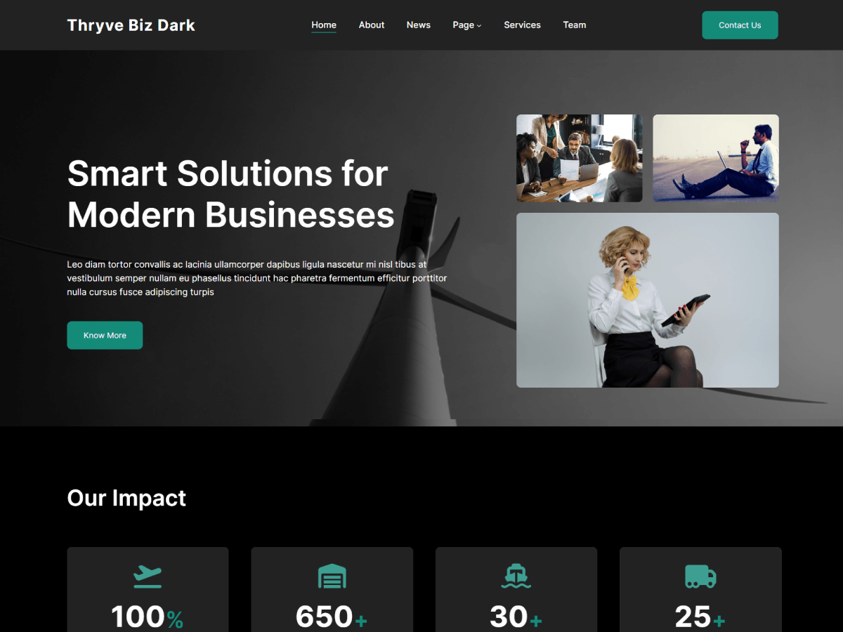 Thryve Biz Dark theme screenshot