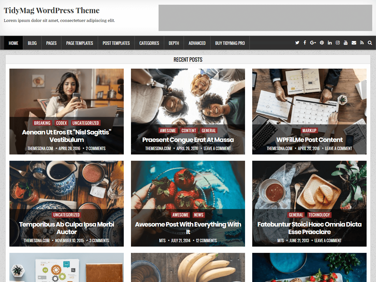 TidyMag theme screenshot