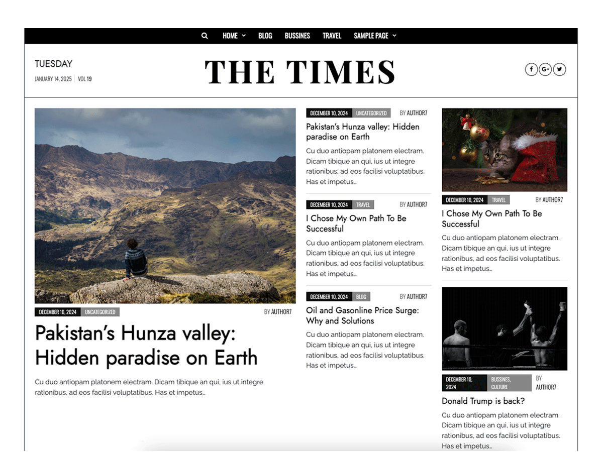 Times News Magazine Blog theme screenshot