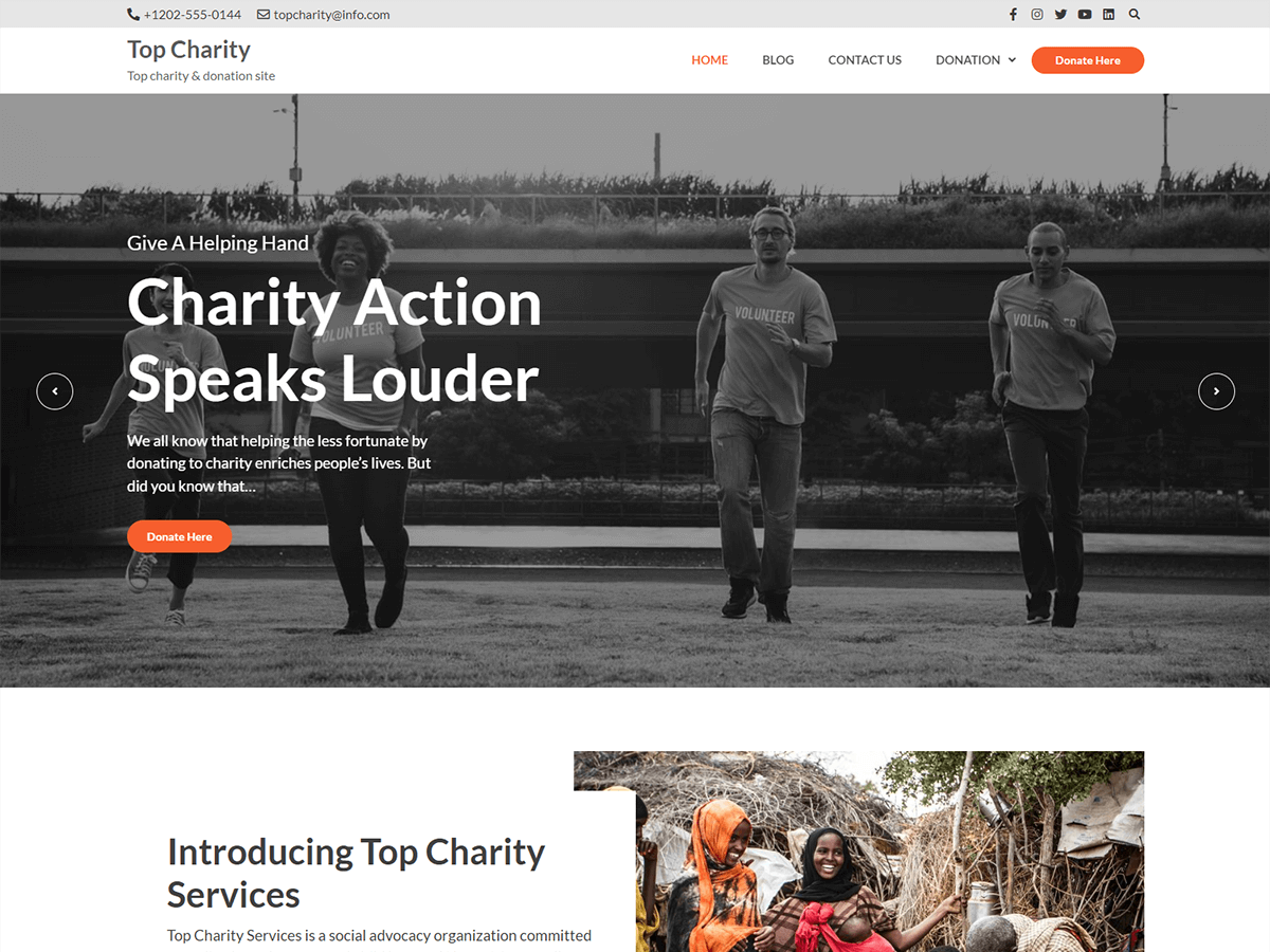 Top Charity theme screenshot