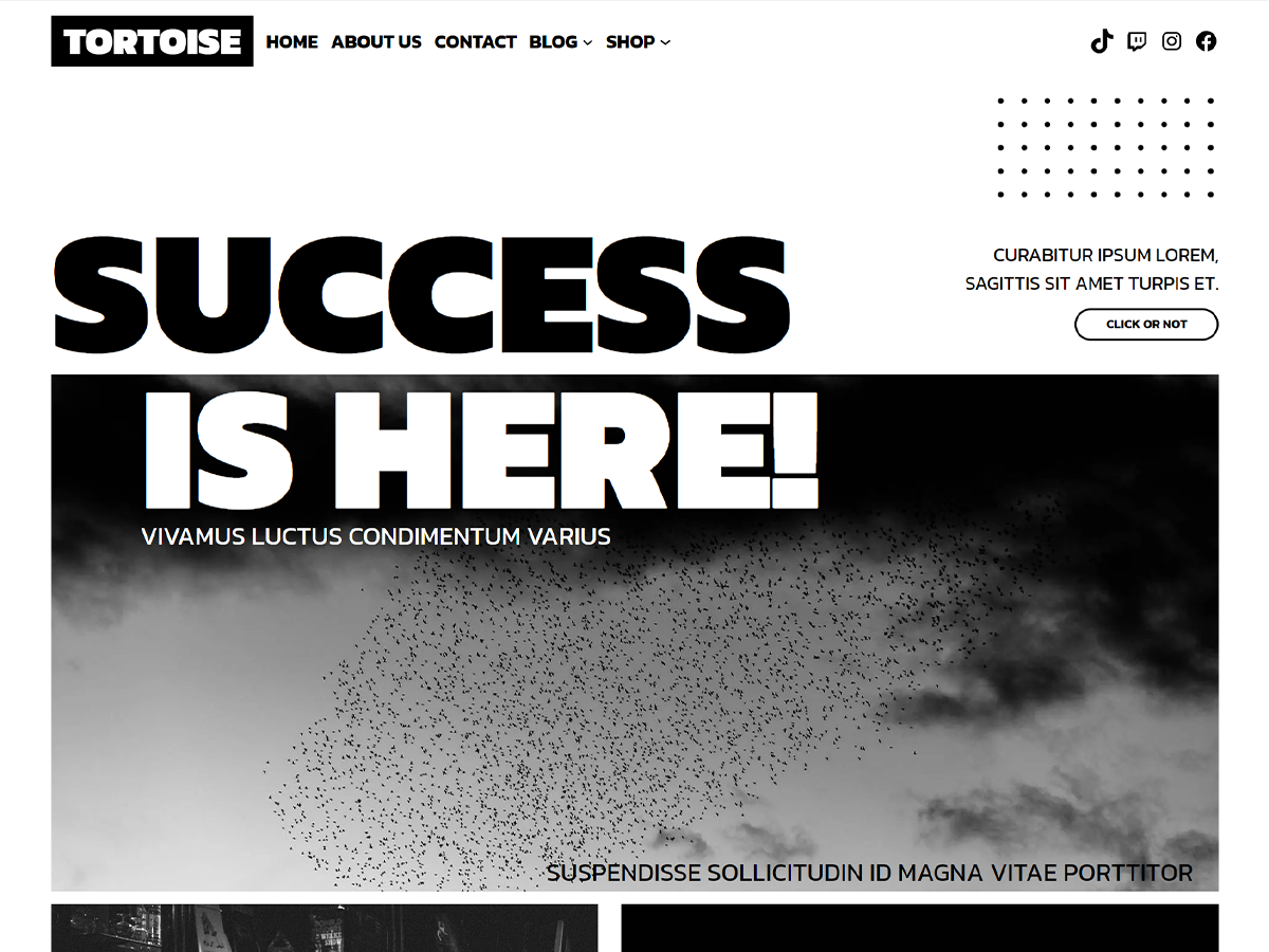 Tortoise theme screenshot