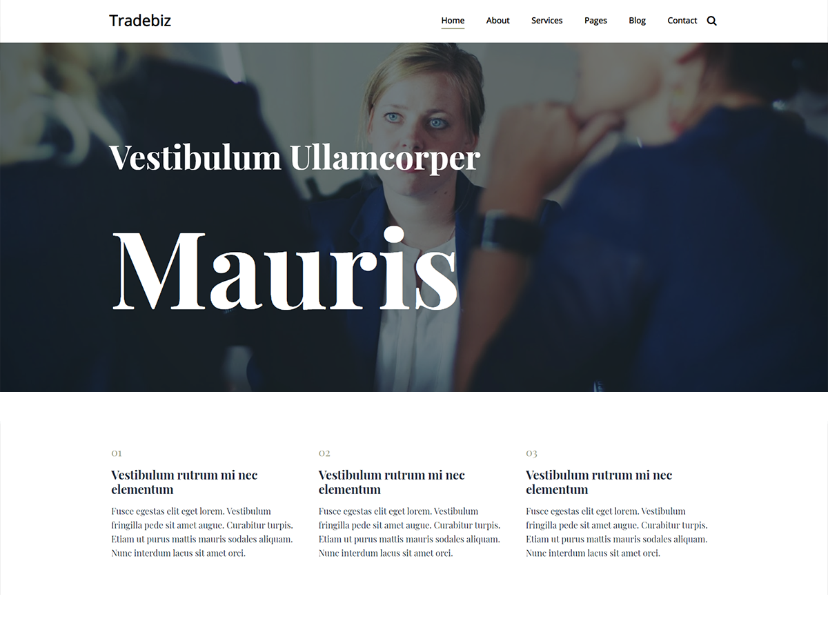 Tradebiz theme screenshot