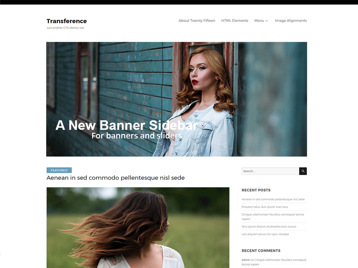 Transference theme screenshot