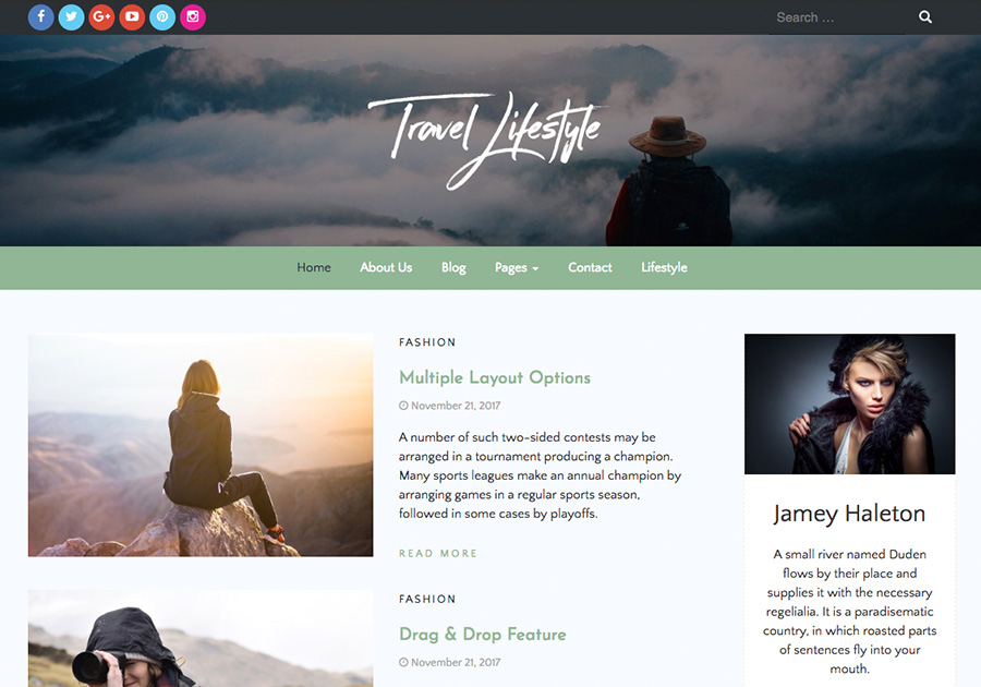 Travel Lifestyle theme screenshot