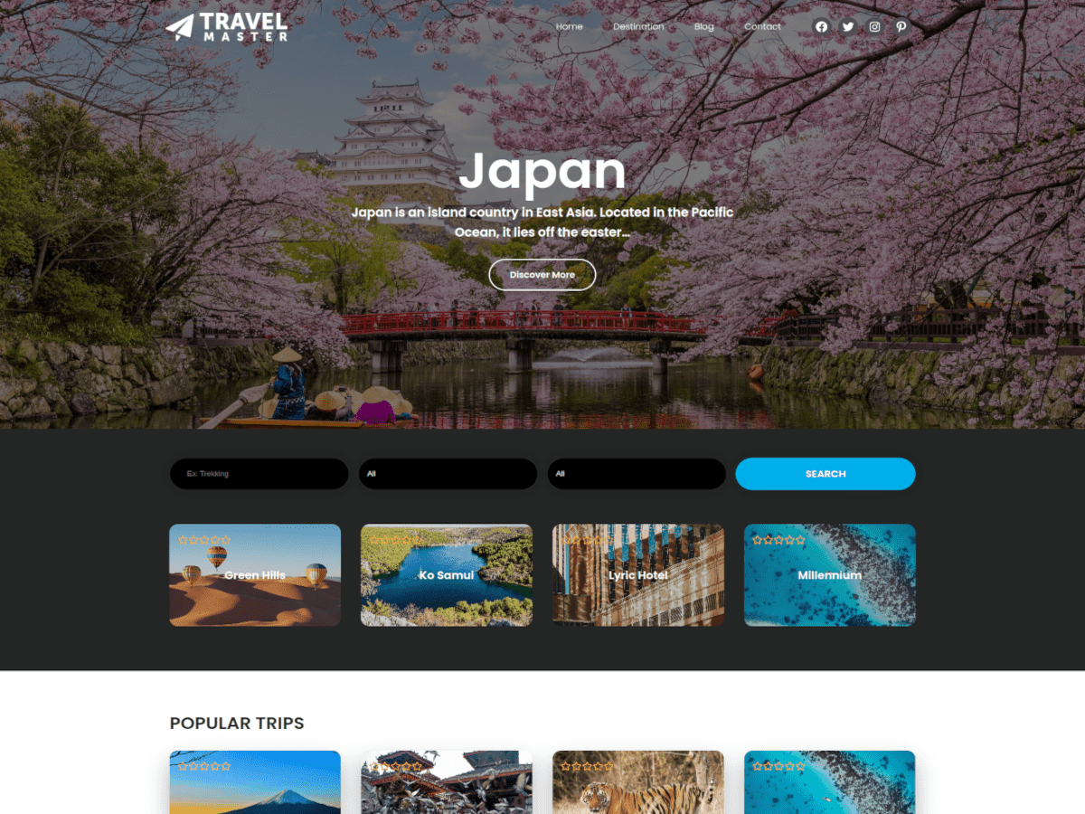 Travel Master FSE theme screenshot