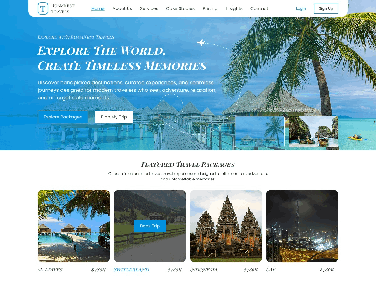 Travel Packages theme screenshot