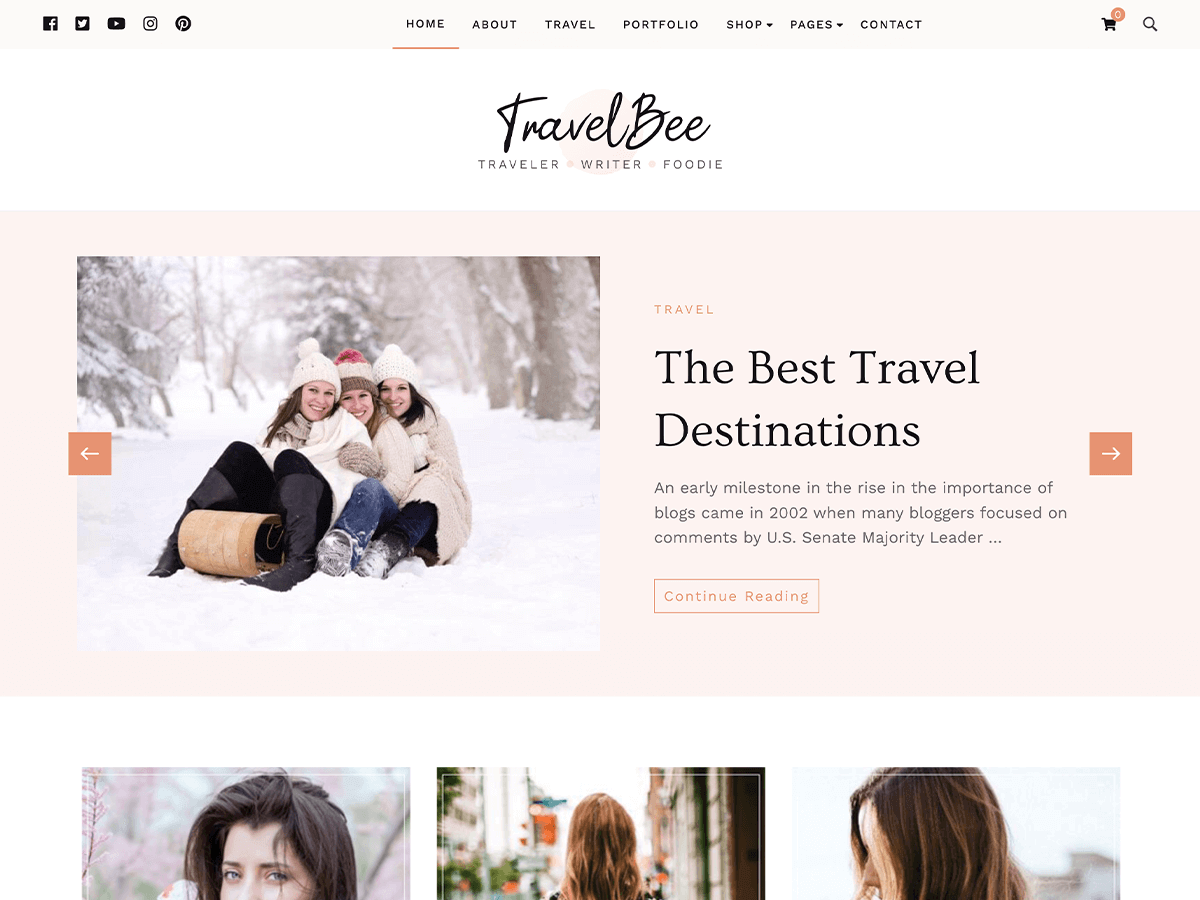 Travelbee theme screenshot