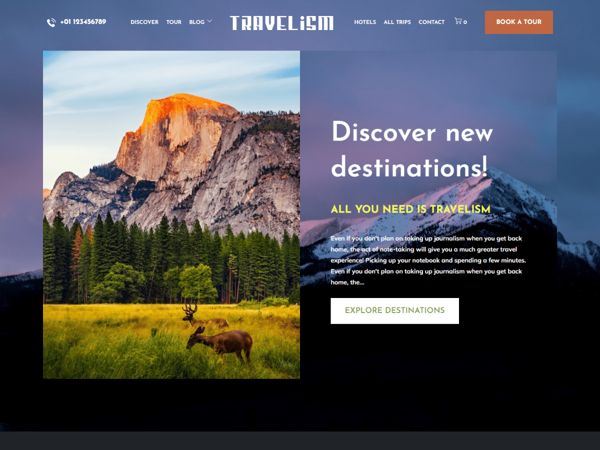 Travelism theme screenshot
