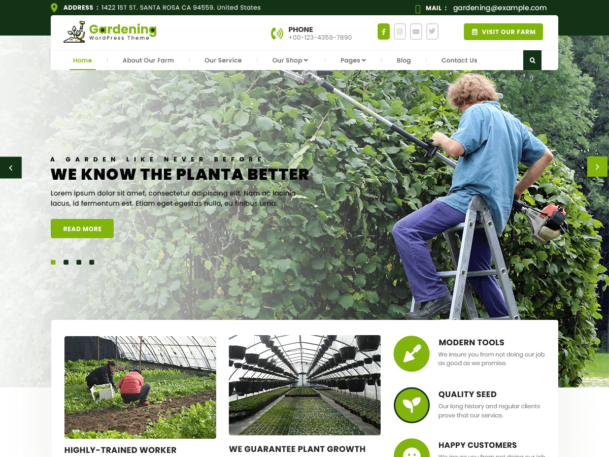 Tree Plantation theme screenshot