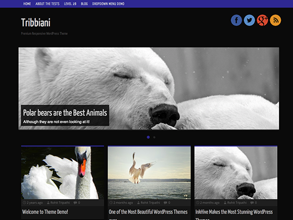 Tribbiani theme screenshot