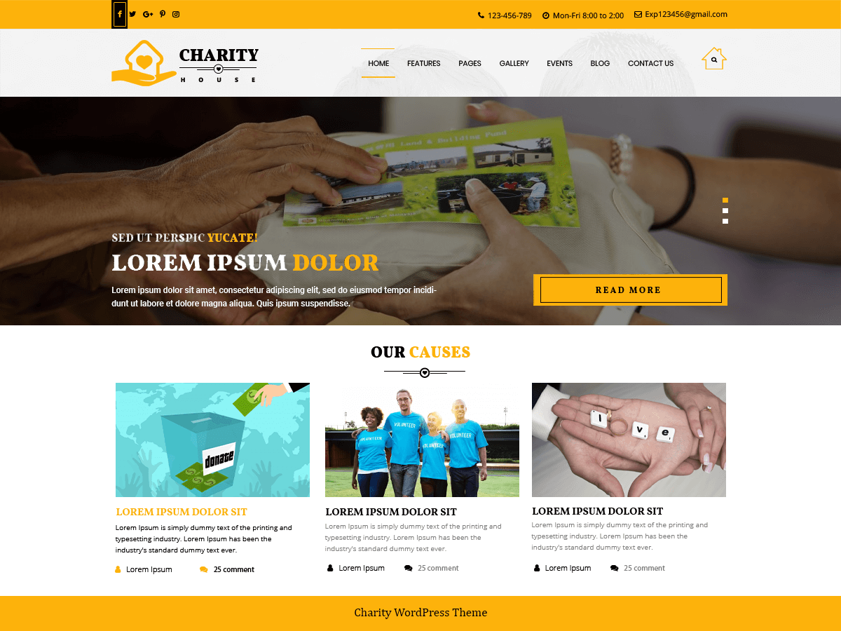 TS Charity theme screenshot