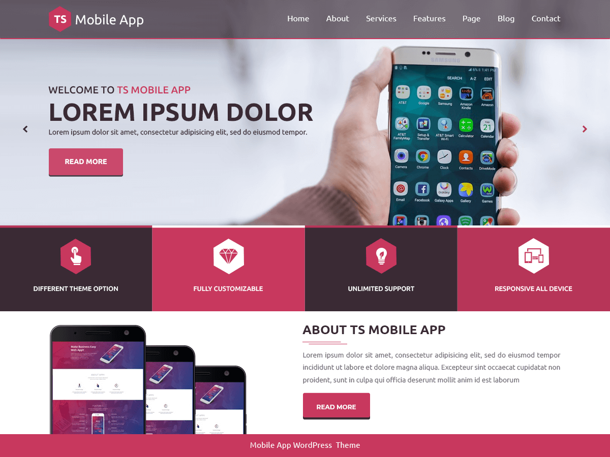 TS Mobile App theme screenshot