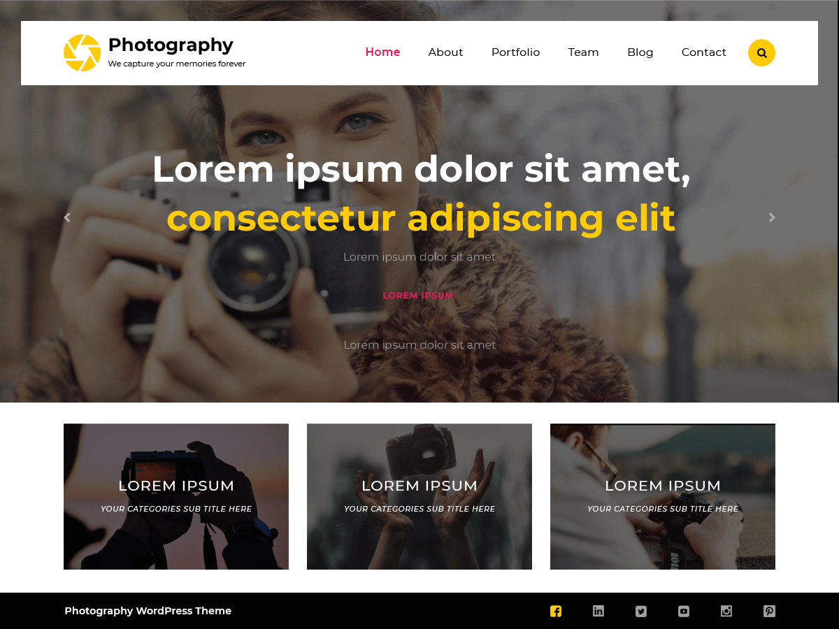 TS Photography theme screenshot