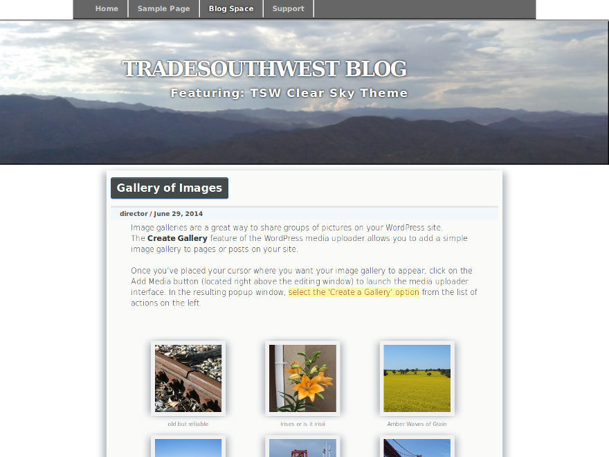 TSW Clear Sky theme screenshot