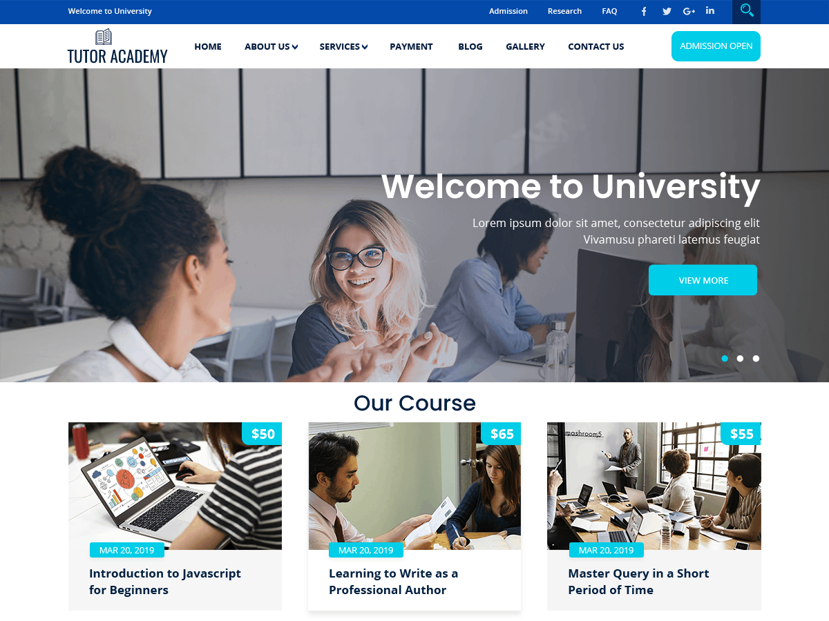 Tutor Academy theme screenshot
