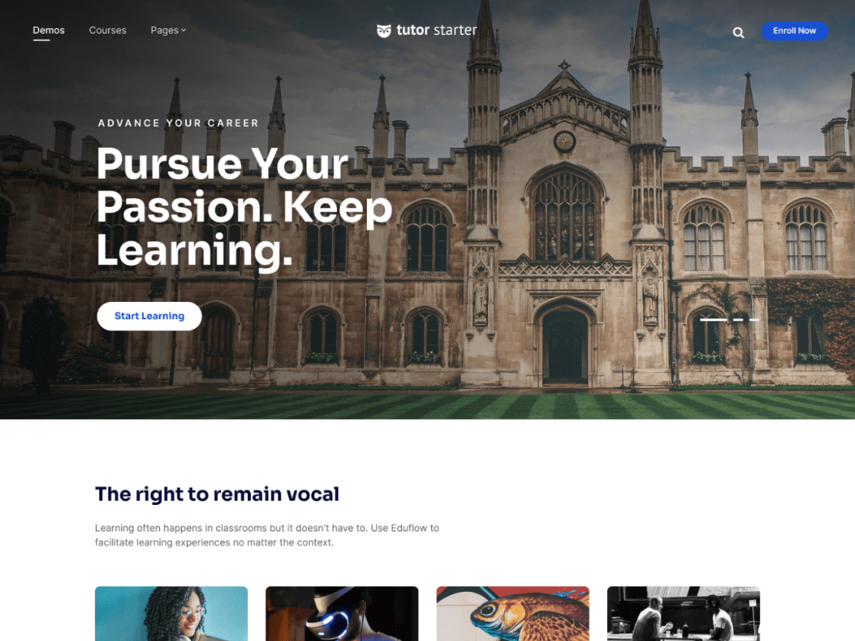 TutorStarter theme screenshot