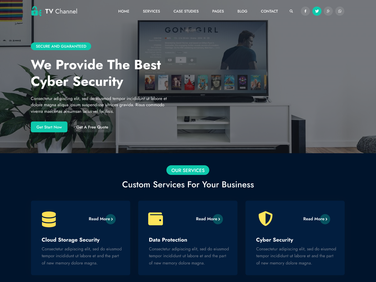 TV Channel Insight theme screenshot
