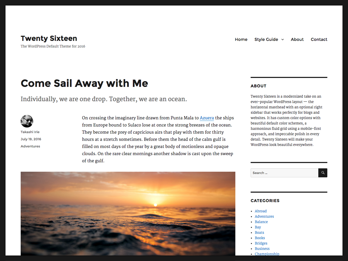 Twenty Sixteen theme screenshot