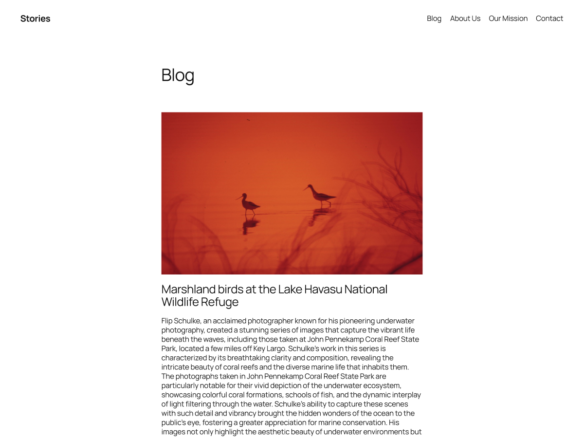 Twenty Twenty-Five theme screenshot