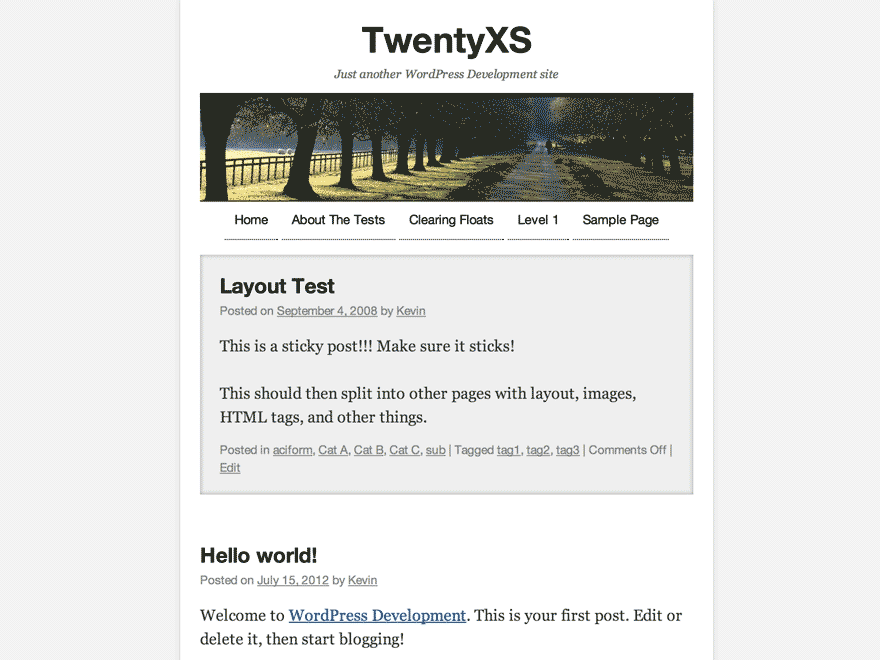 TwentyXS theme screenshot
