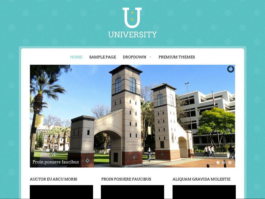 University theme screenshot