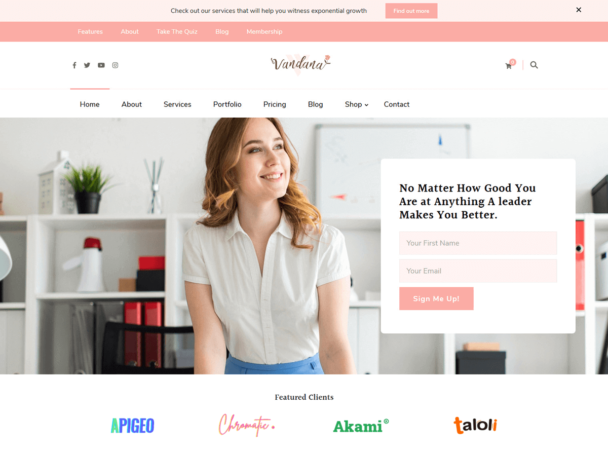 Vandana Lite theme screenshot
