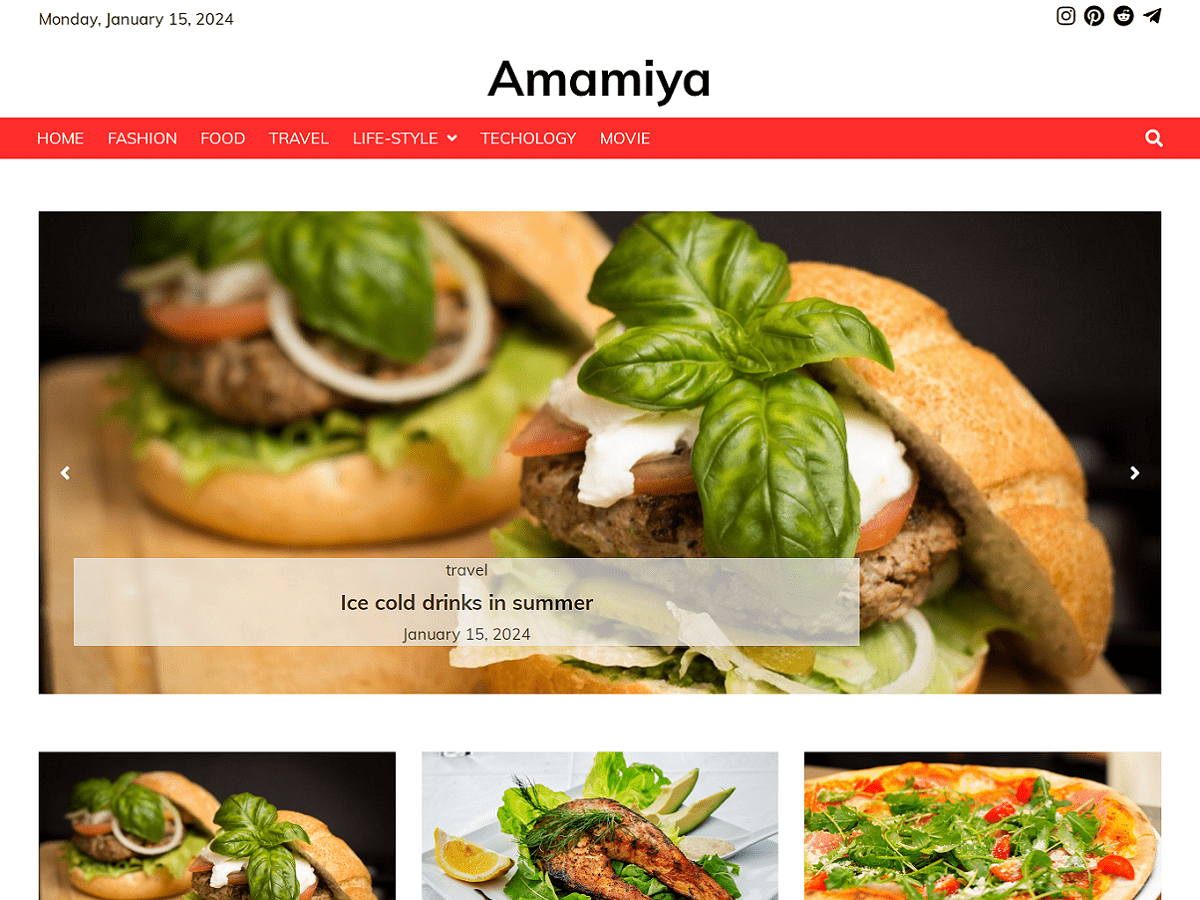 vastnews theme screenshot