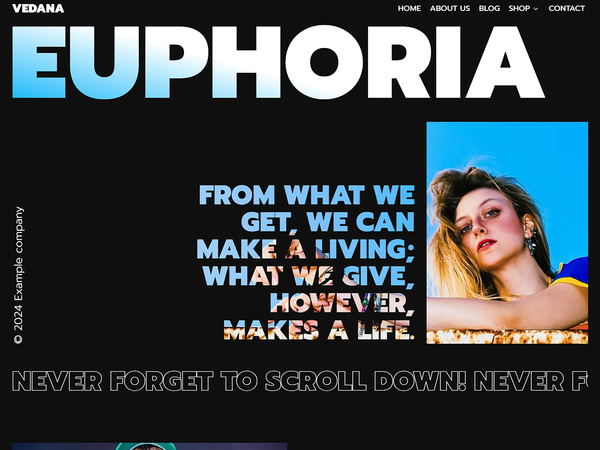 Vedana theme screenshot