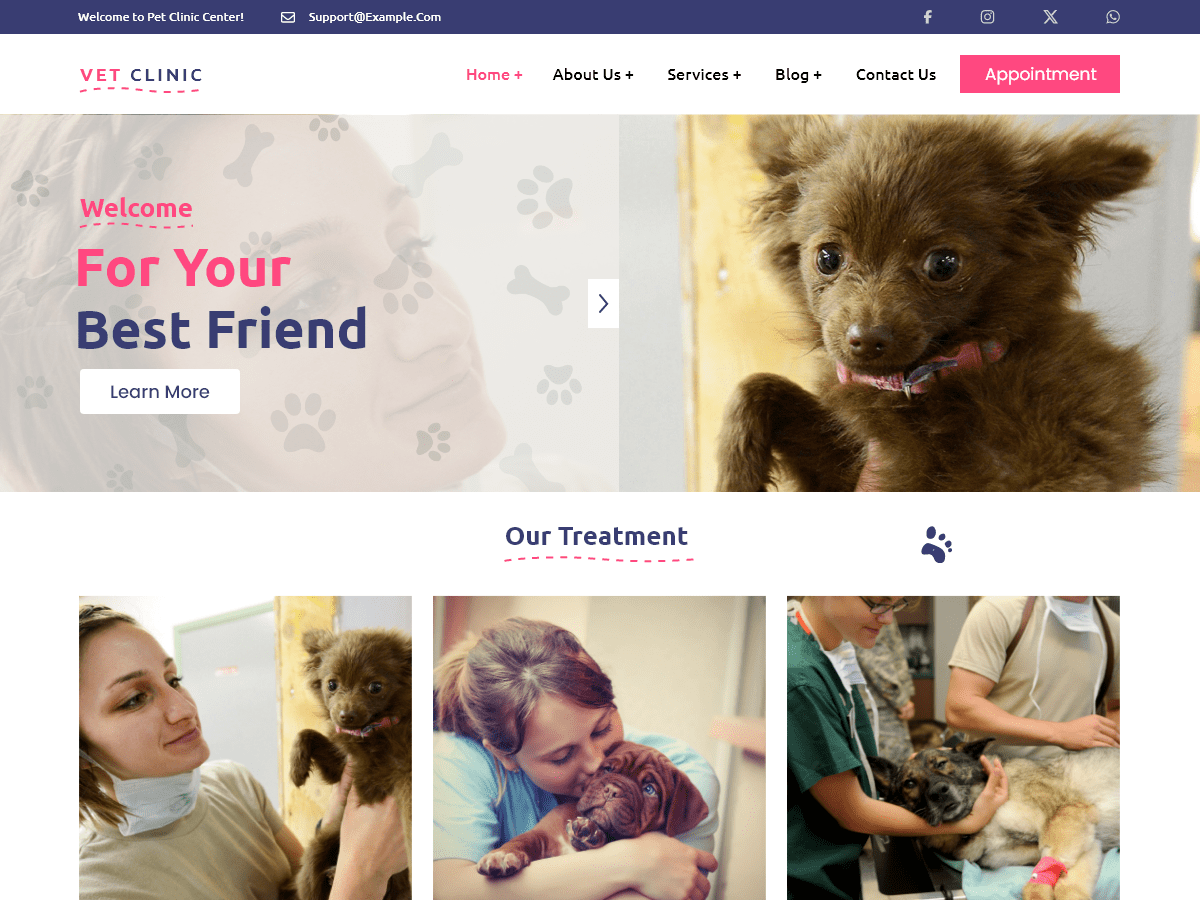 Veterinary Clinic theme screenshot