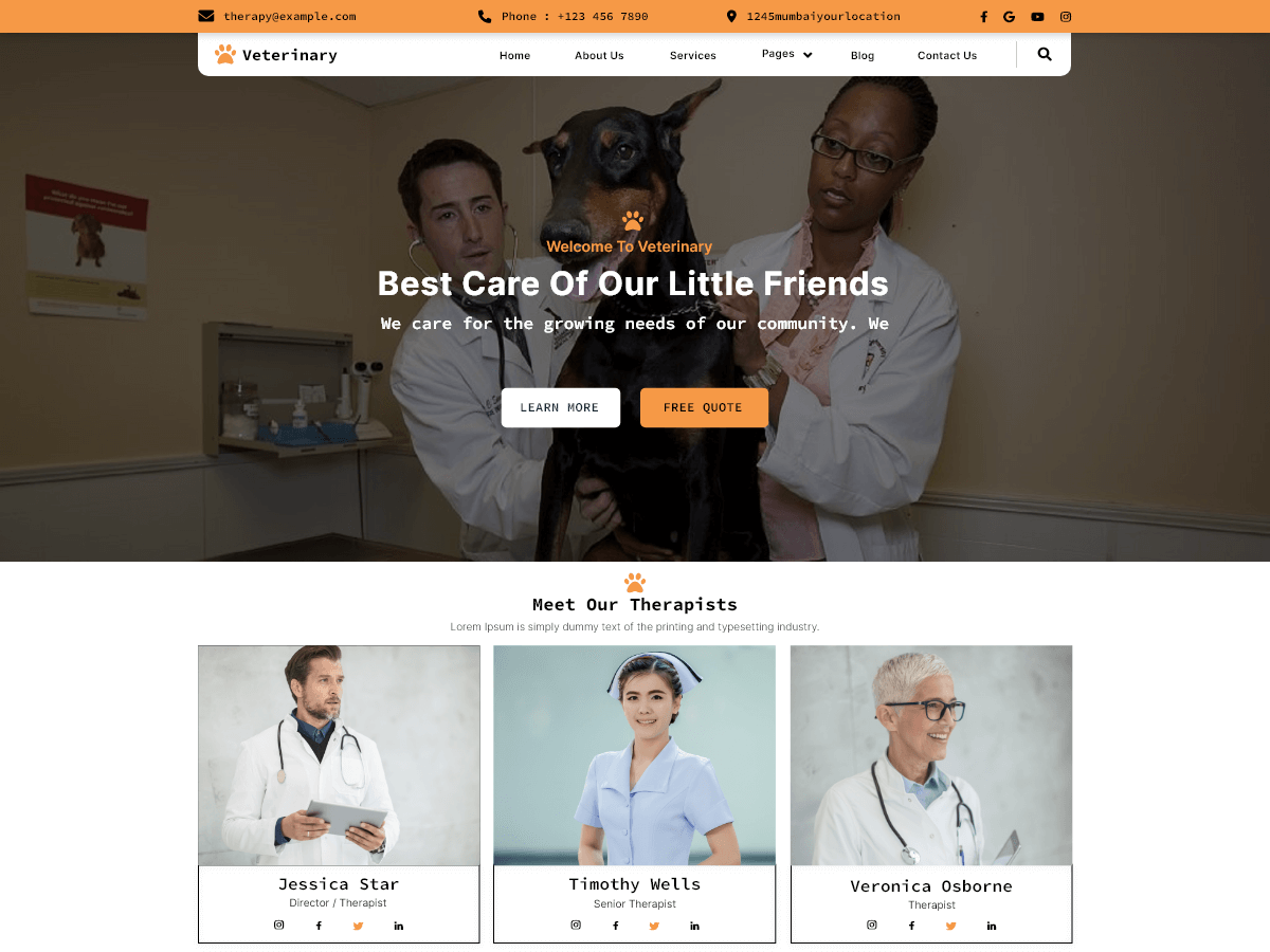 Veterinary Services theme screenshot