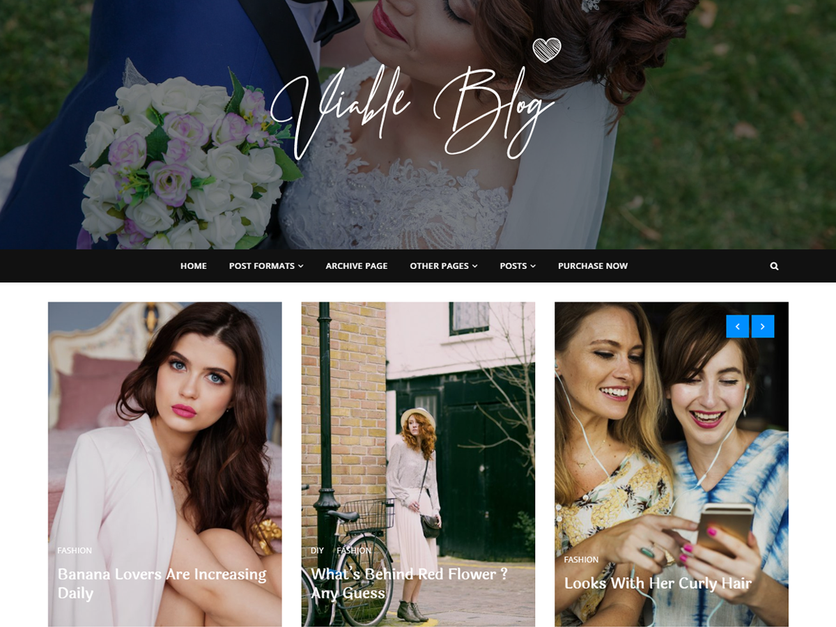 Viable Blog theme screenshot