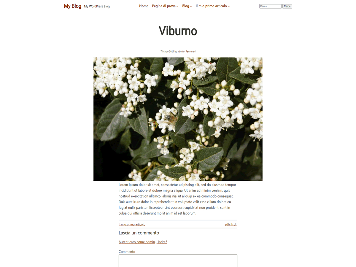 viburno theme screenshot