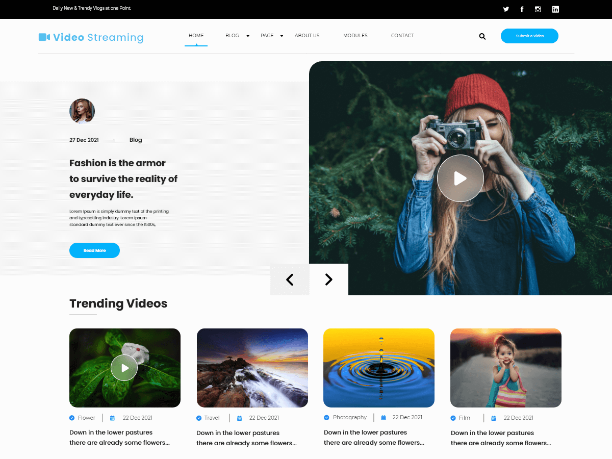 Video Streaming theme screenshot