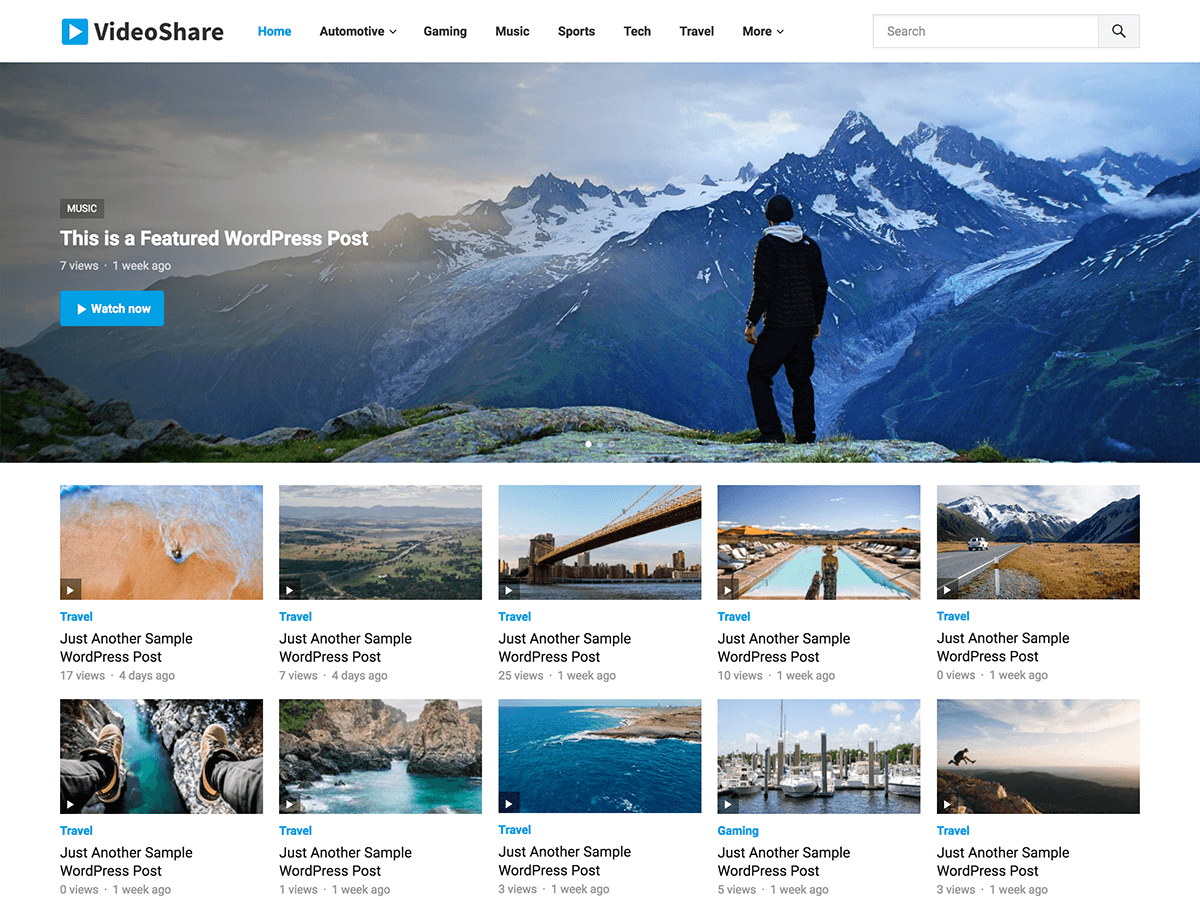 VideoShare theme screenshot