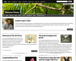 Vina theme screenshot