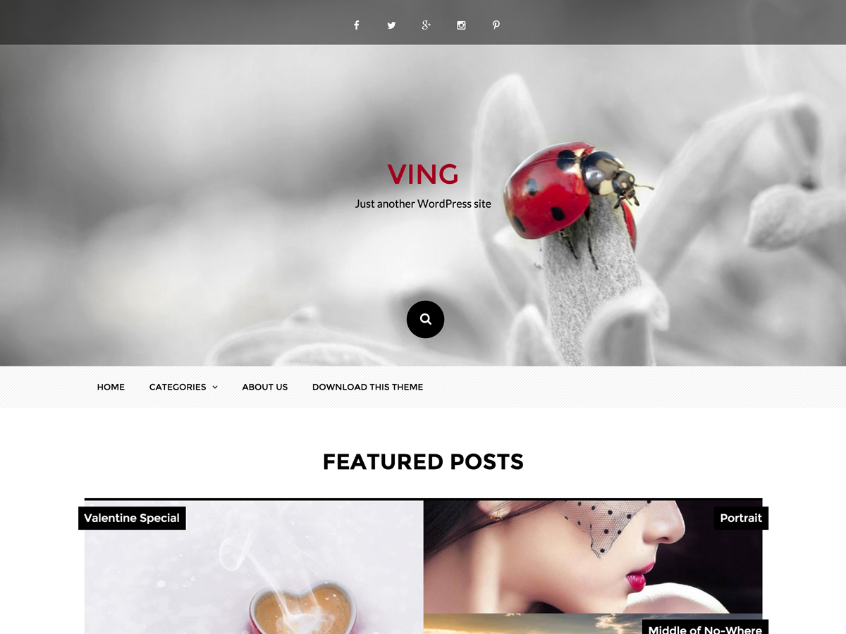 Ving theme screenshot